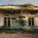 Reforma Casa Abandonada é Barata? Desvende o Mito dos Custos Inesperados