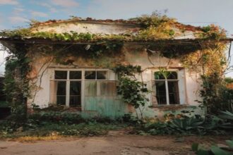 Reforma Casa Abandonada é Barata? Desvende o Mito dos Custos Inesperados
