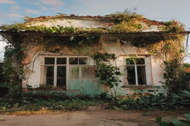 Reforma Casa Abandonada é Barata? Desvende o Mito dos Custos Inesperados
